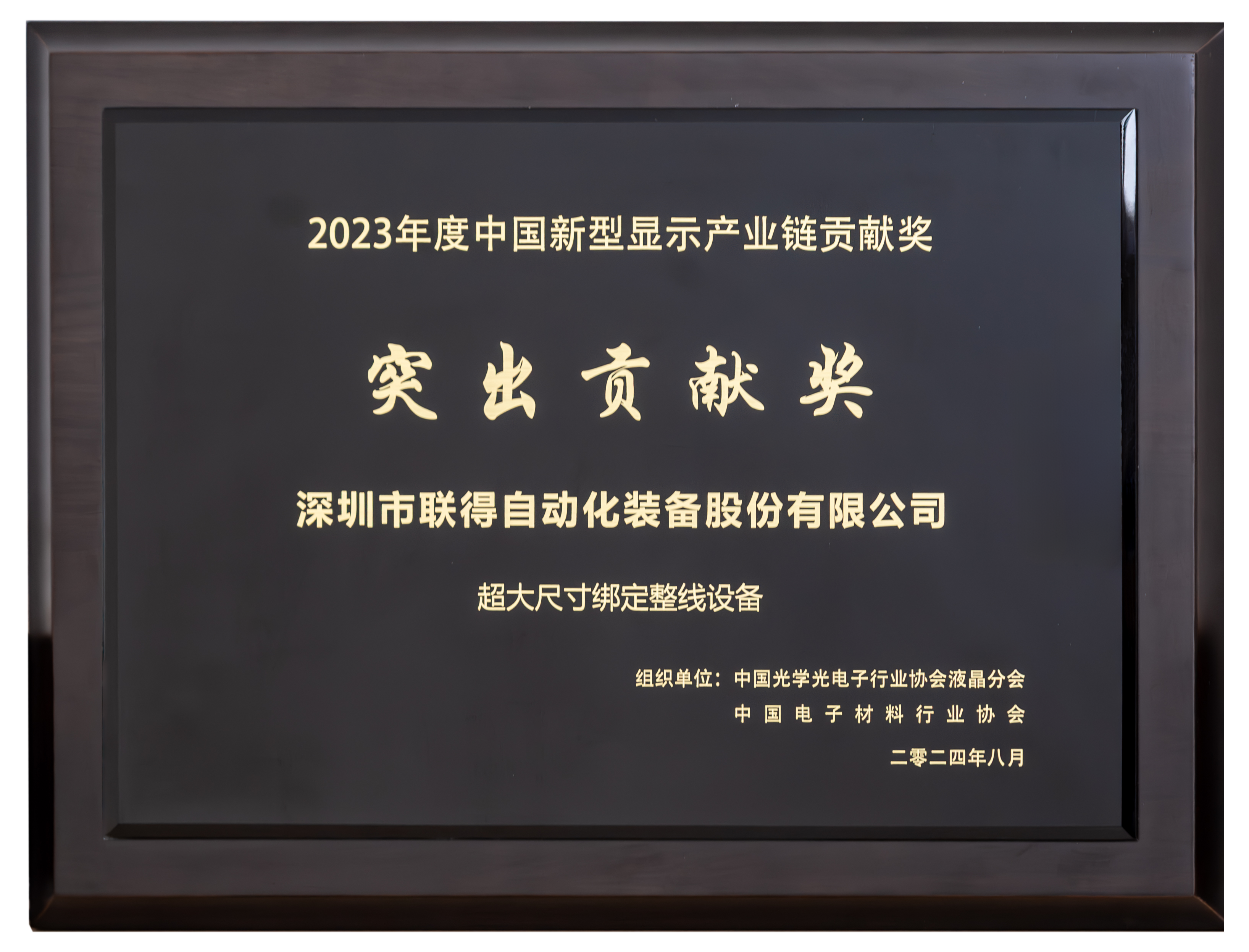 中國(guó)新型顯示產(chǎn)業(yè)鏈貢獻(xiàn)獎(jiǎng)-突出貢獻(xiàn)獎(jiǎng).png